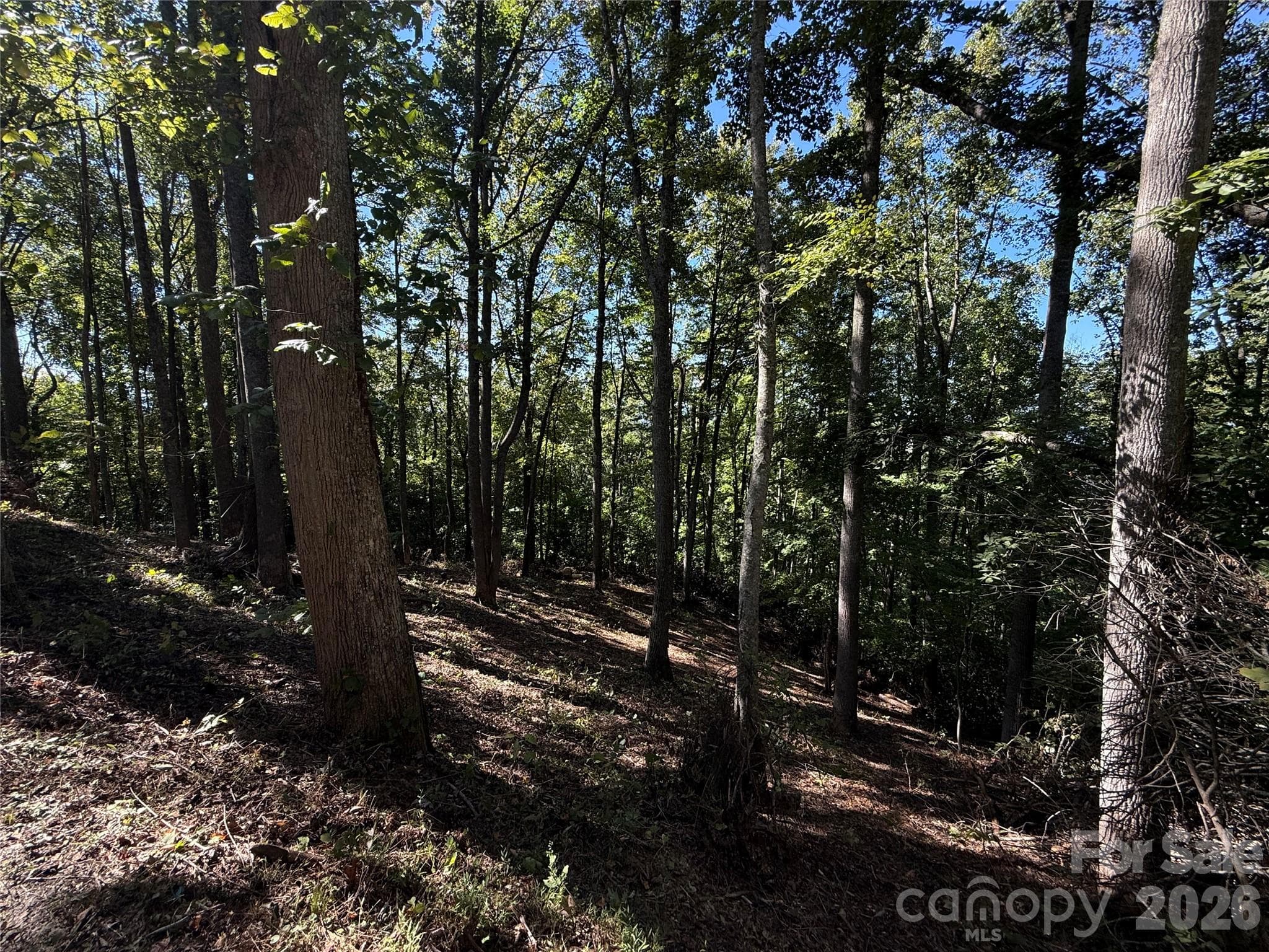 Lot at 9999 Elk Ridge Drive, Asheville, photo 12 of 20