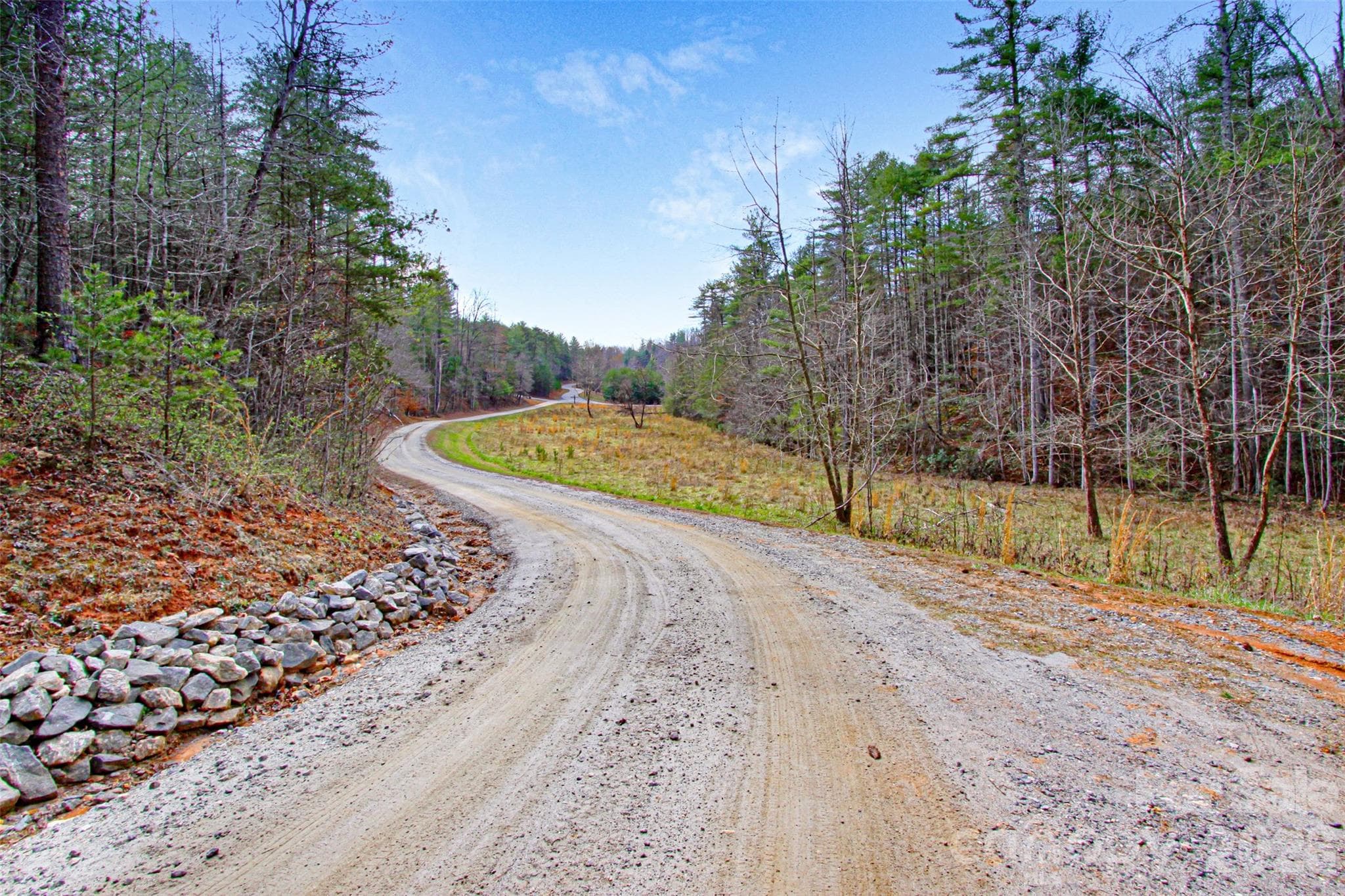 Looking back down Dogwood Way toward the pasture area - 5360 Dogwood Way, Lenoir