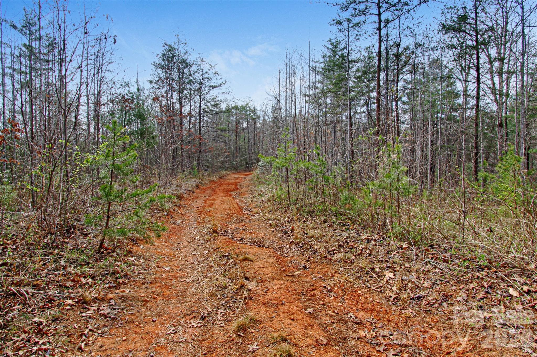 The old logging road - 5360 Dogwood Way, Lenoir