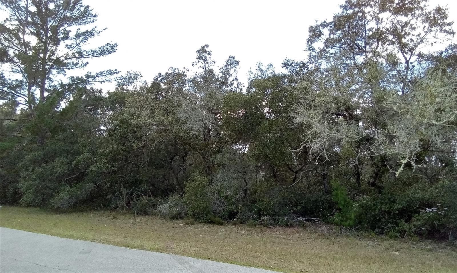 Land at SW 24TH CIR, OCALA, photo 3 of 7