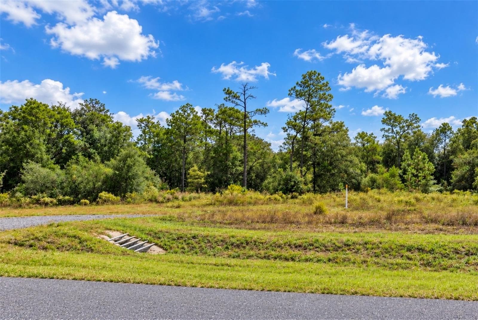 Land at 5201 HIGHWAY 77, CHIPLEY, photo 5 of 16