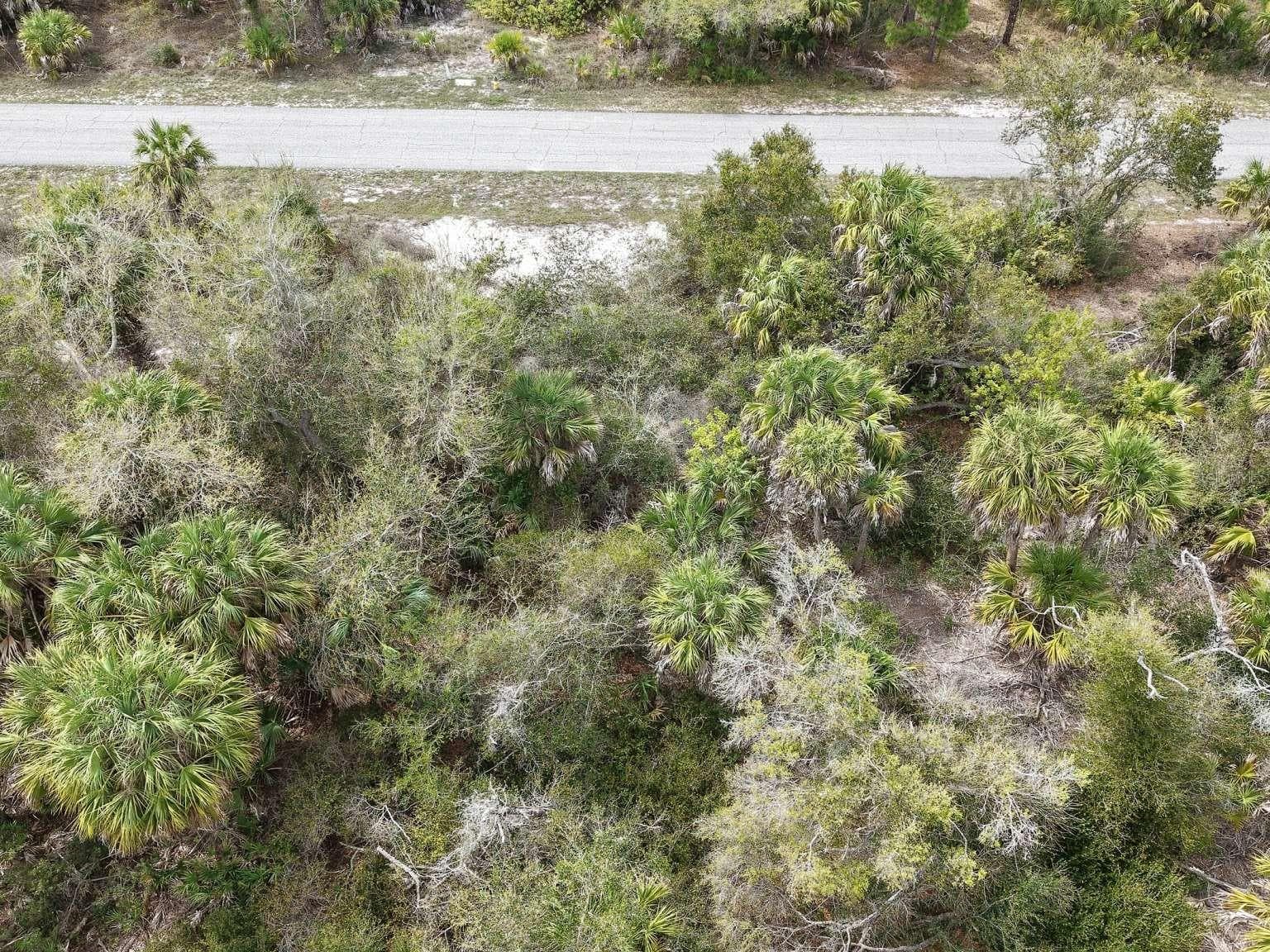Aerial view of the lot and road. - 14315 WHITESIDES AVE, PORT CHARLOTTE