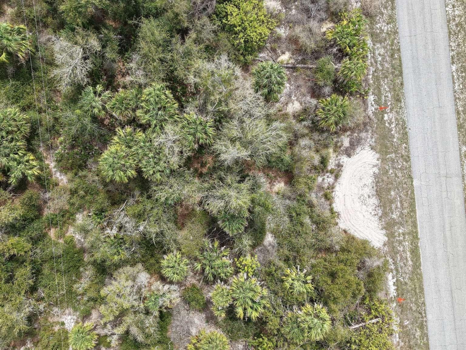 Overhead view of the lot vegetation. - 14315 WHITESIDES AVE, PORT CHARLOTTE