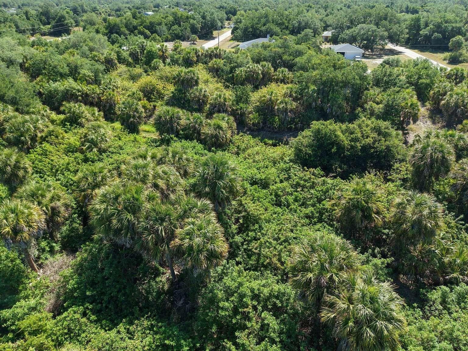 Aerial view of the lot and surrounding area. - 60 DENVER DR, PORT CHARLOTTE