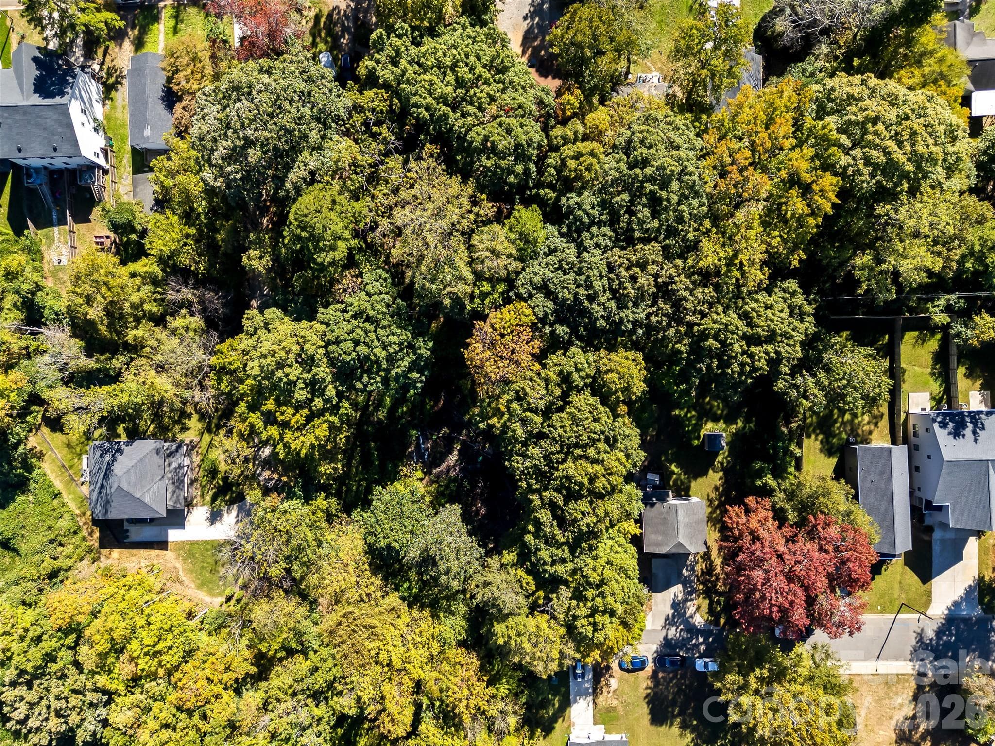 Lot at 805 Holland Avenue, Charlotte, photo 2 of 22