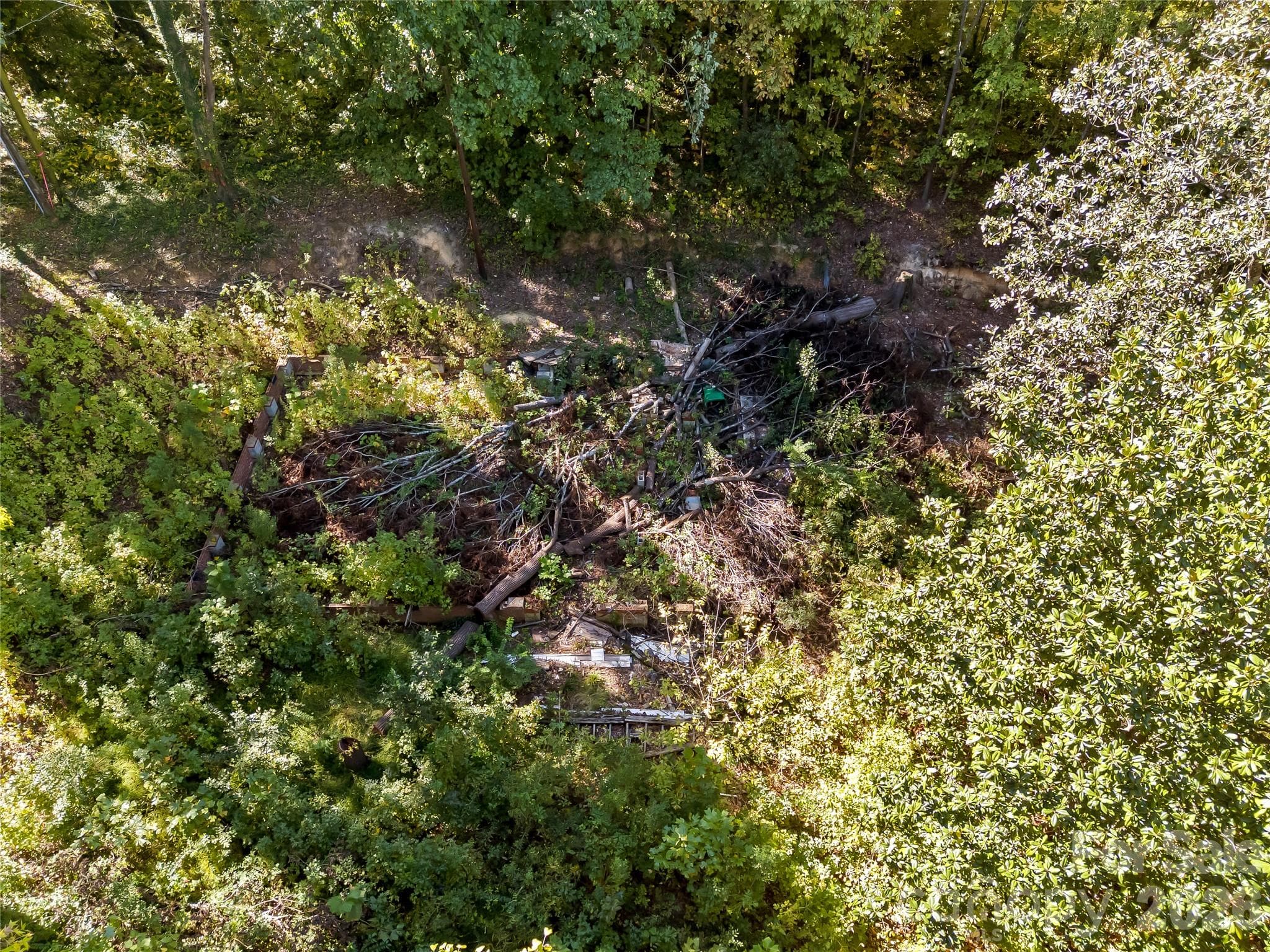 Lot at 805 Holland Avenue, Charlotte, photo 9 of 22