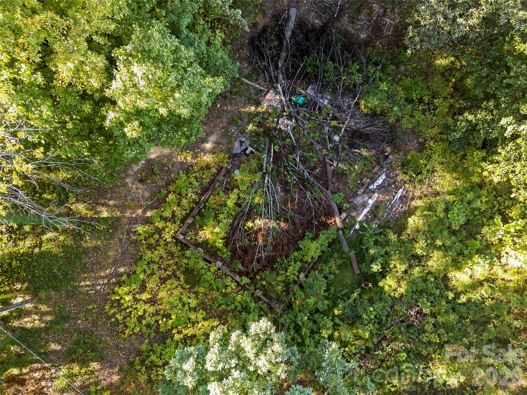 Lot at 805 Holland Avenue, Charlotte, photo 15 of 22