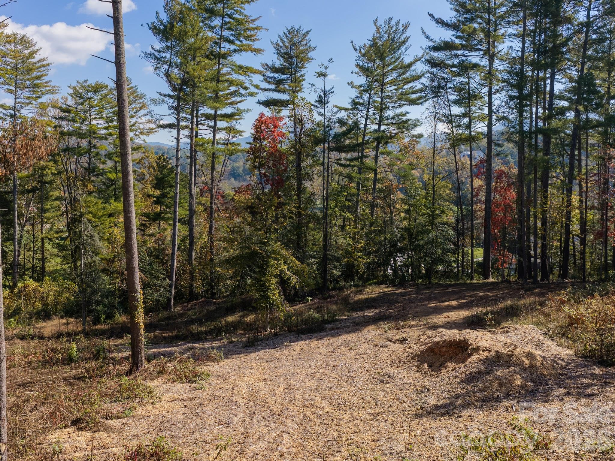 Cleared Area for an Additional Homesite - 2039 Cane Creek Road, Fletcher