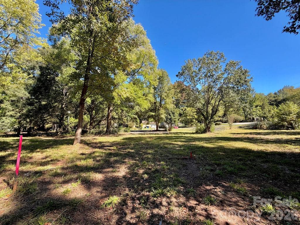 Lot at 1013 Neely Store Road, Rock Hill, photo 3 of 19