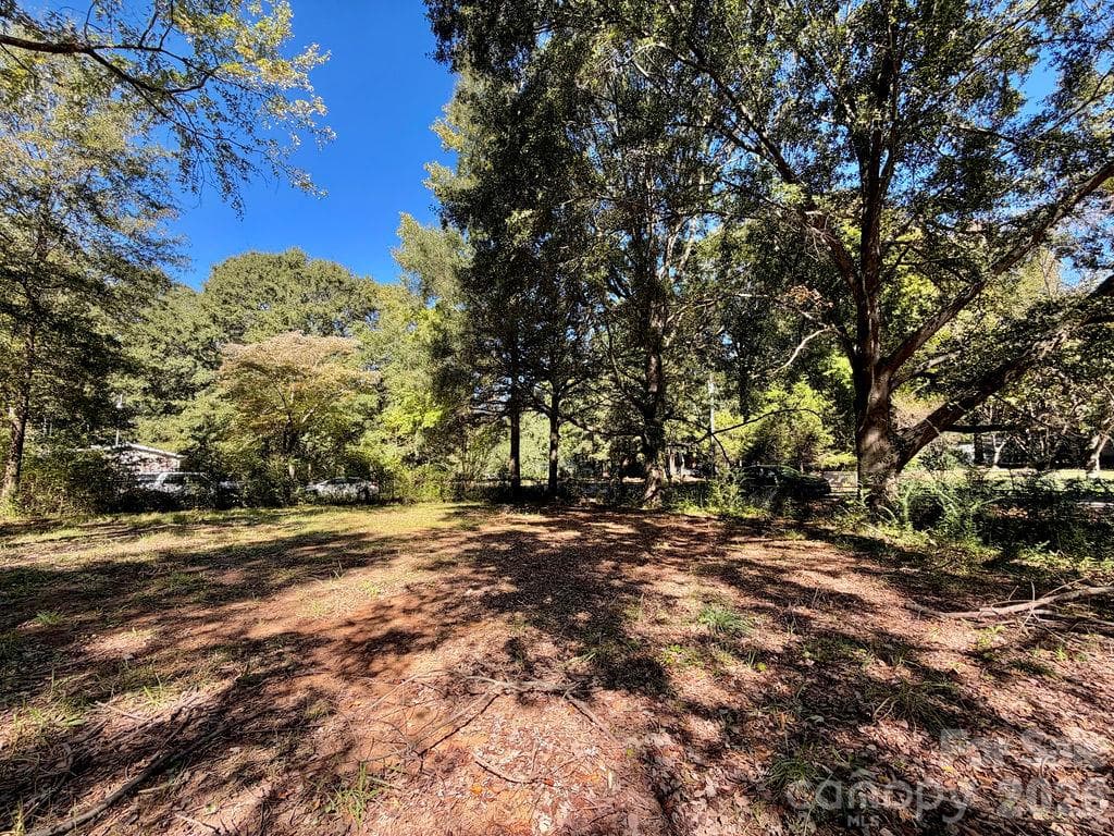 Lot at 1013 Neely Store Road, Rock Hill, photo 11 of 19