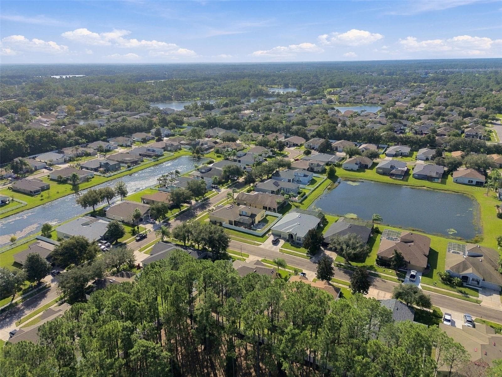 Single Family Residence at 20827 WOODVALE LN, LAND O LAKES, photo 95 of 97