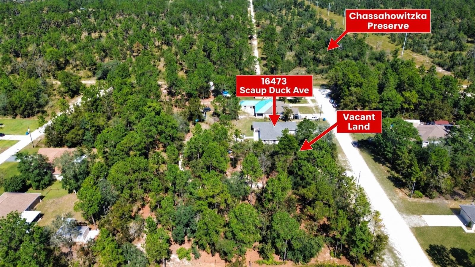 Single Family Residence at 16473 SCAUP DUCK AVE, BROOKSVILLE, photo 3 of 31