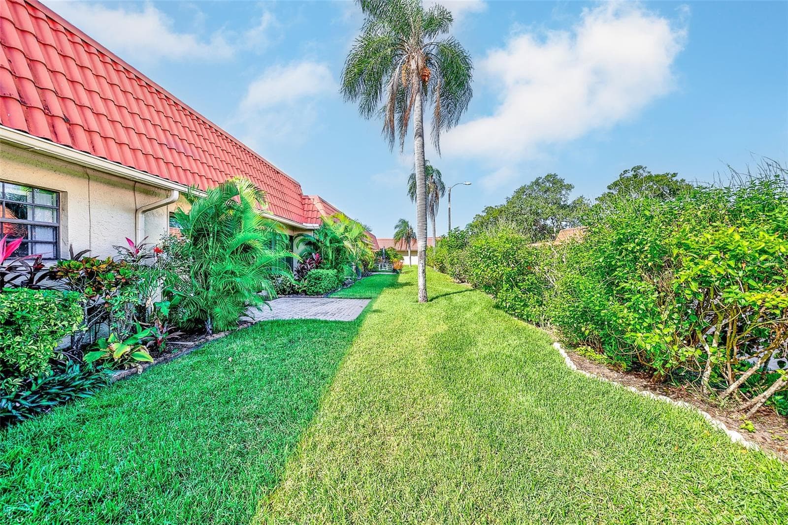 View of back yard - 19029 US HIGHWAY 19 N #21F, CLEARWATER