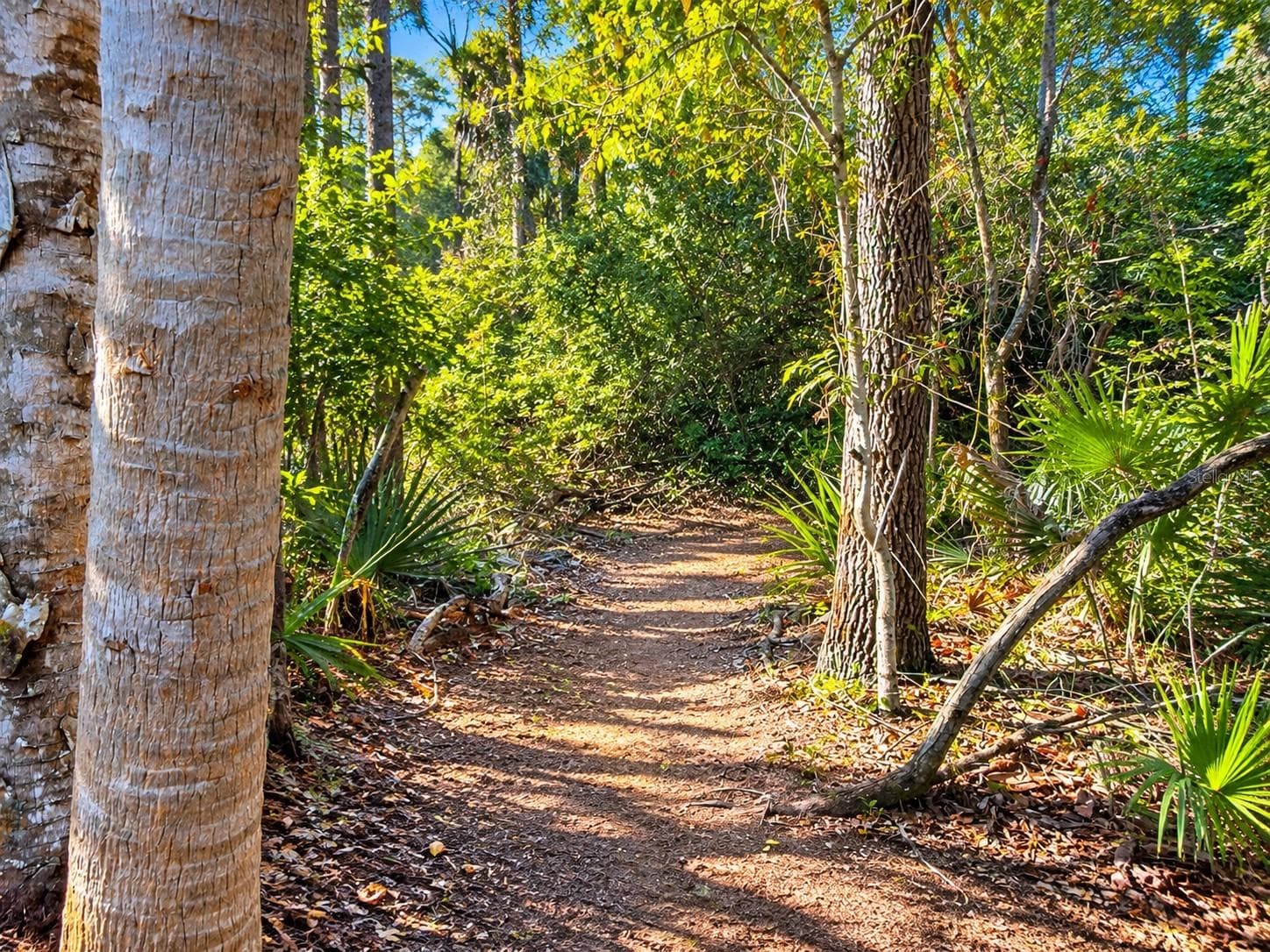 Land at 26051 EAVERSON RD, PUNTA GORDA, photo 4 of 18