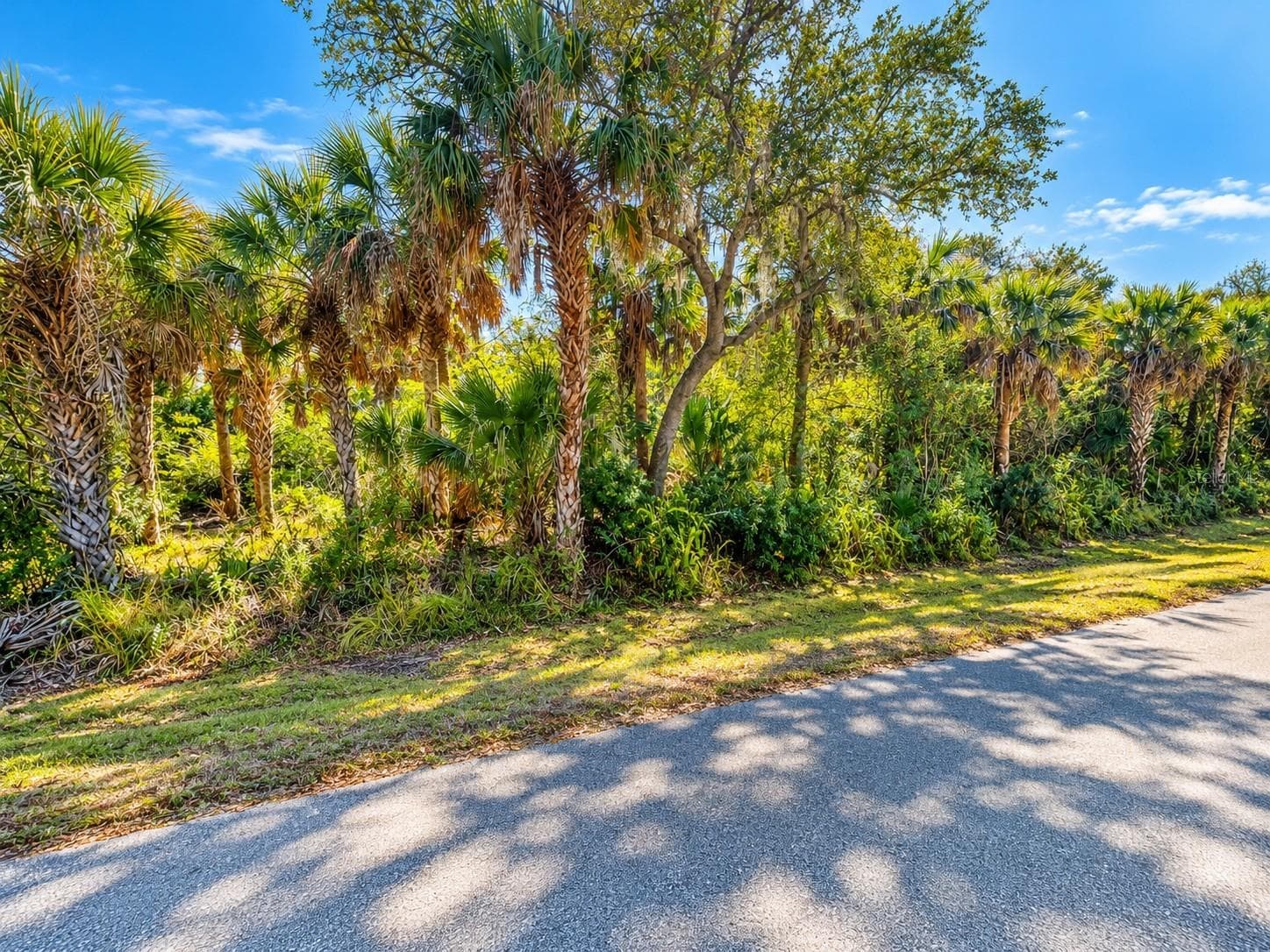Land at 26051 EAVERSON RD, PUNTA GORDA, photo 10 of 18