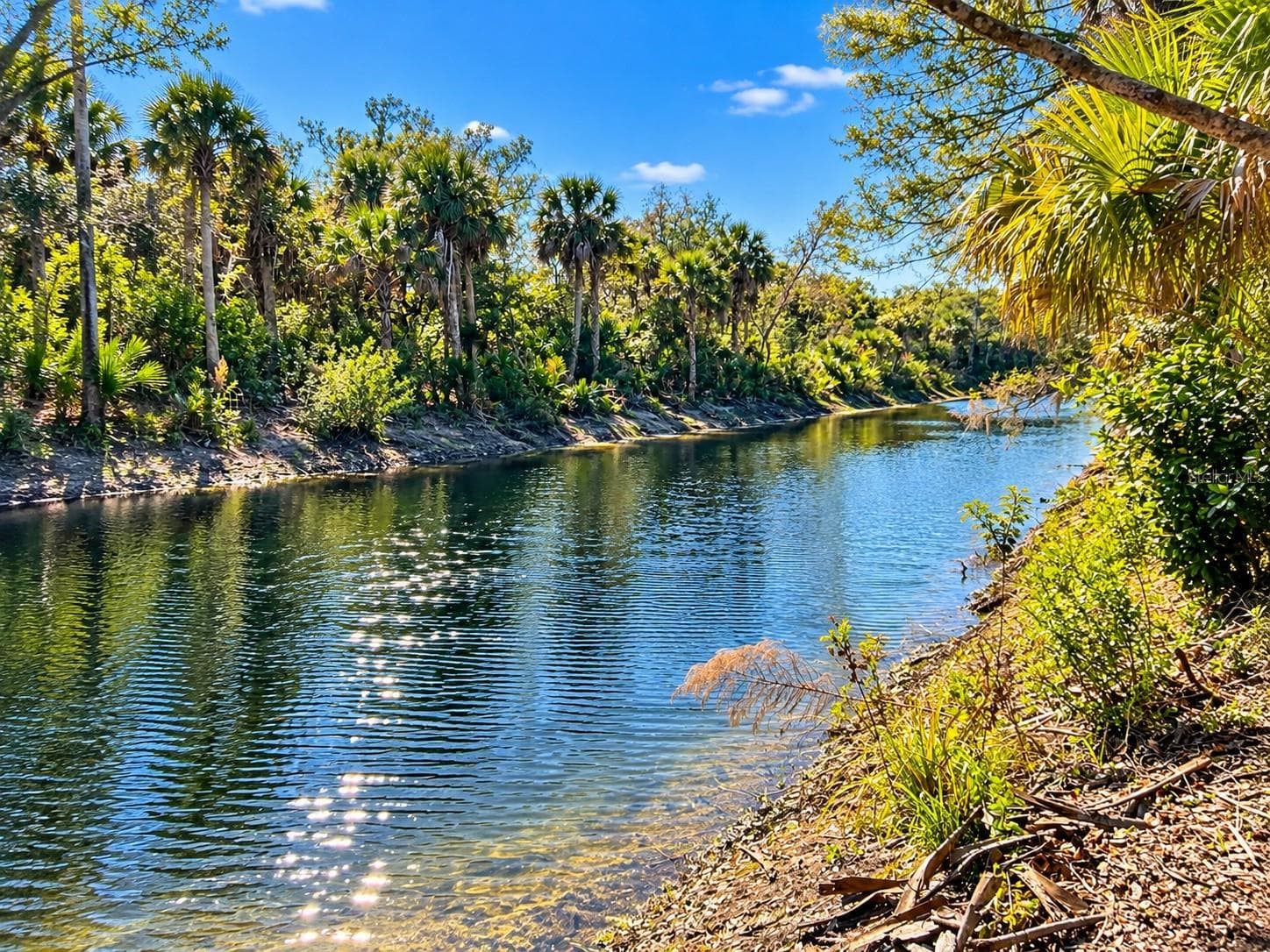 Land at 26051 EAVERSON RD, PUNTA GORDA, photo 14 of 18