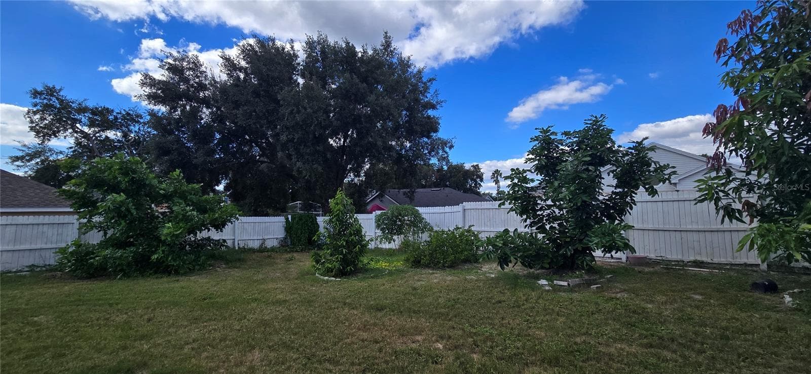 Lots of Tropical Fruit Trees - 1527 HIGH GROVE WAY, ORLANDO
