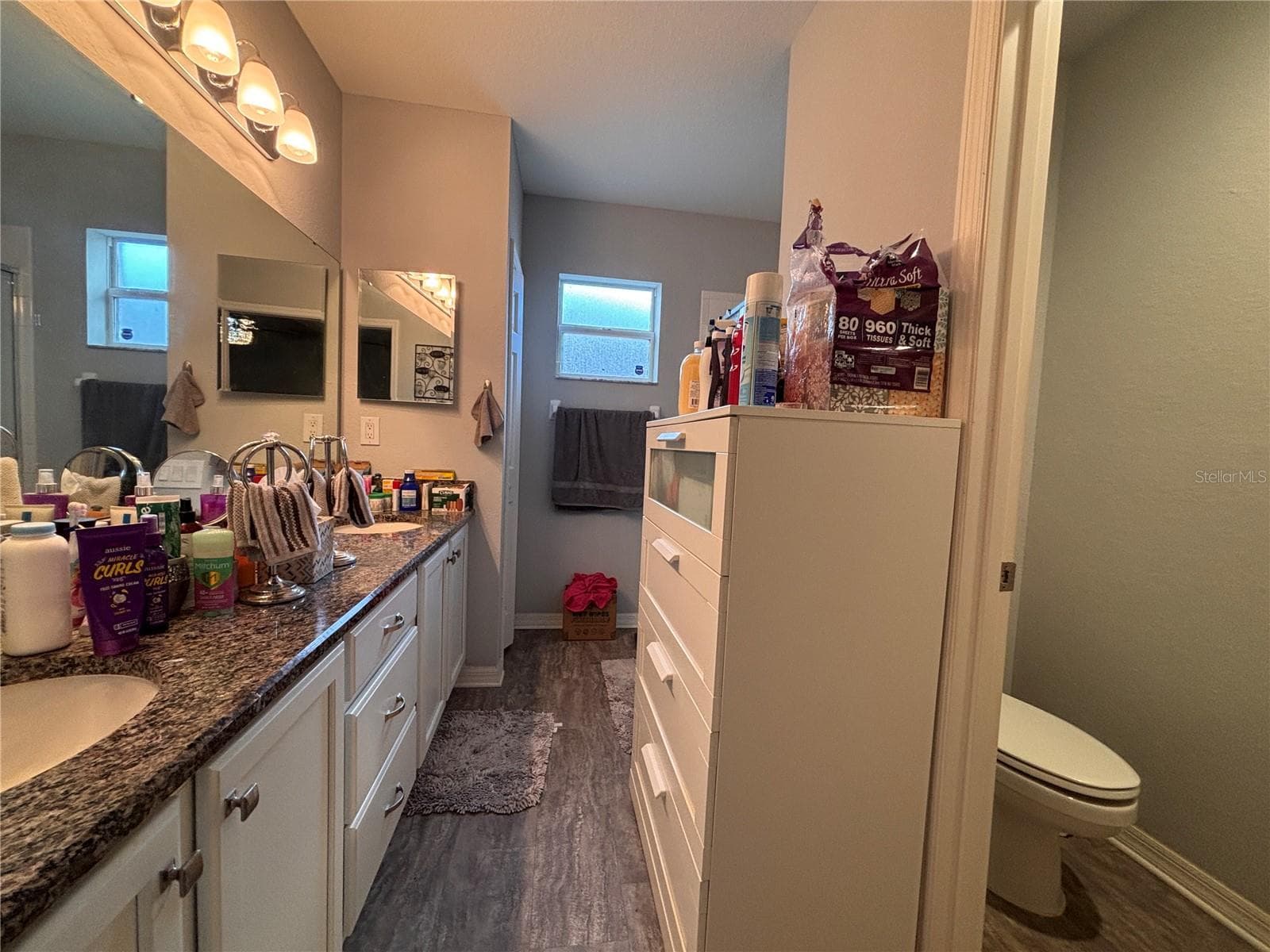 Single Family Residence at 7408 INDIGO OASIS CT, GIBSONTON, photo 12 of 15