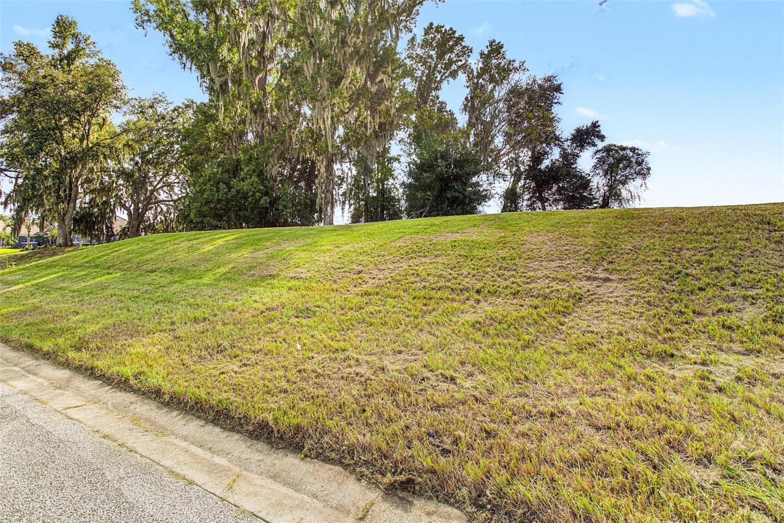 Land at 13620 CARNOUSTIE CIR, DADE CITY, photo 3 of 19