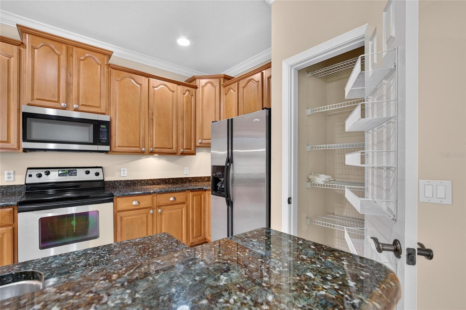 Kitchen - 213 SILVER FALLS DR, APOLLO BEACH
