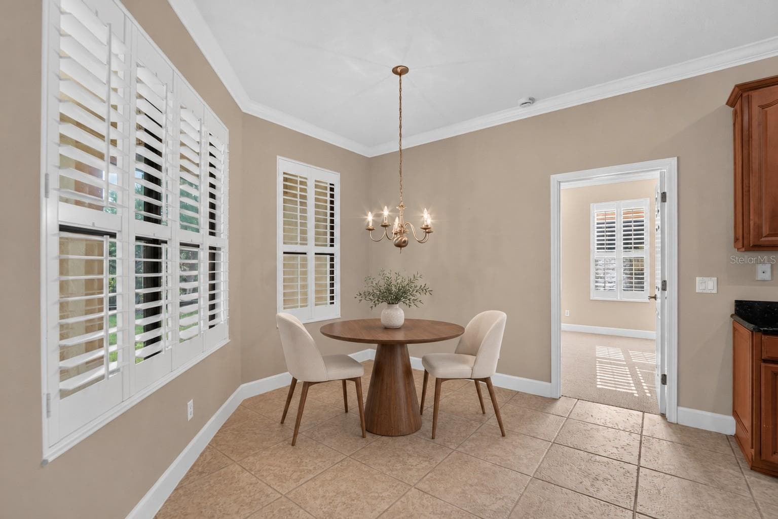 Virtual Bistro area - 213 SILVER FALLS DR, APOLLO BEACH