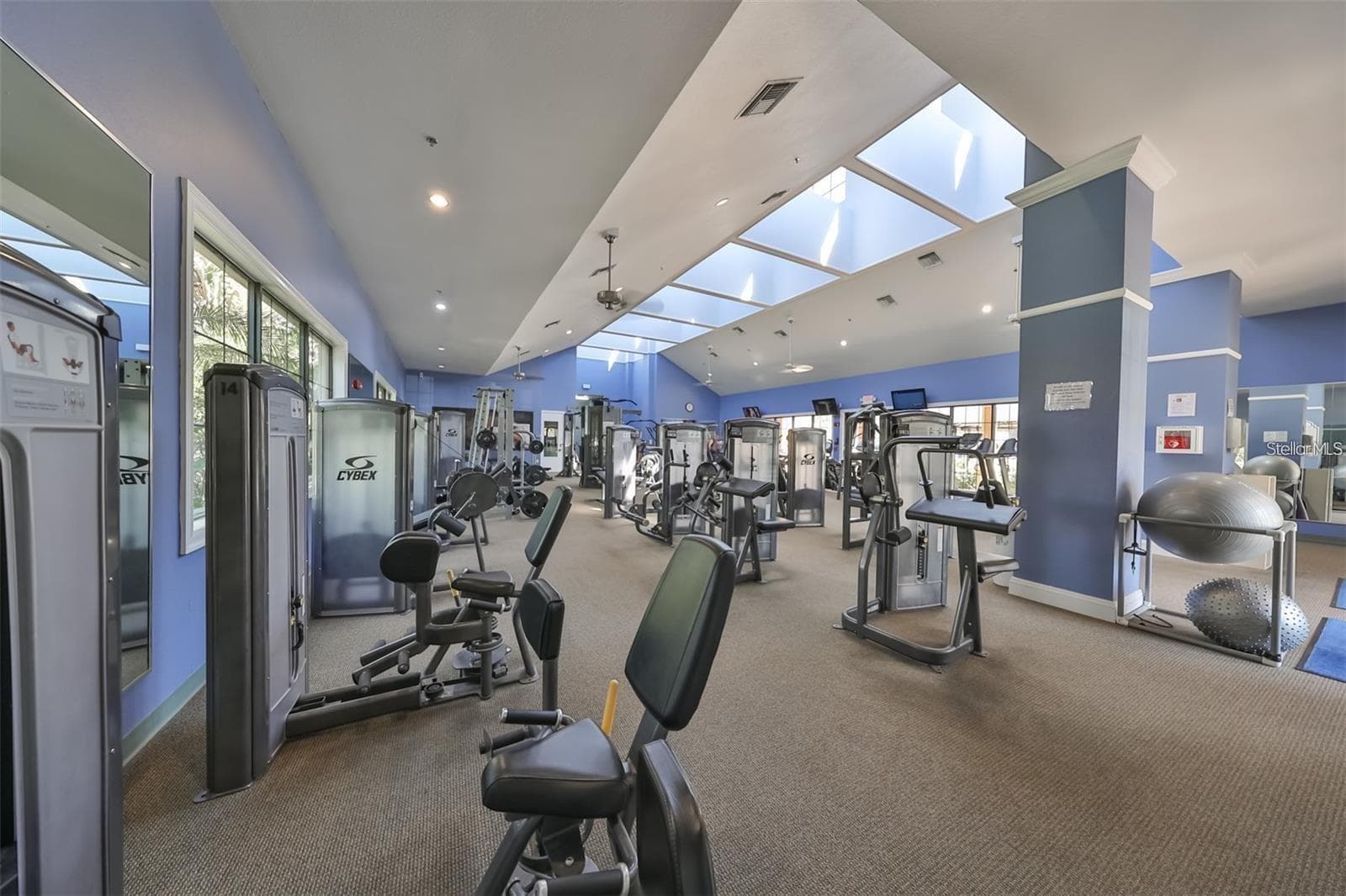 Community Gym - 213 SILVER FALLS DR, APOLLO BEACH