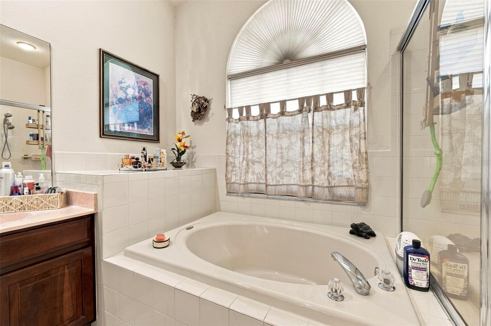 Ensuite - Garden tub and sep shower - 23442 VISTAMAR CT, LAND O LAKES