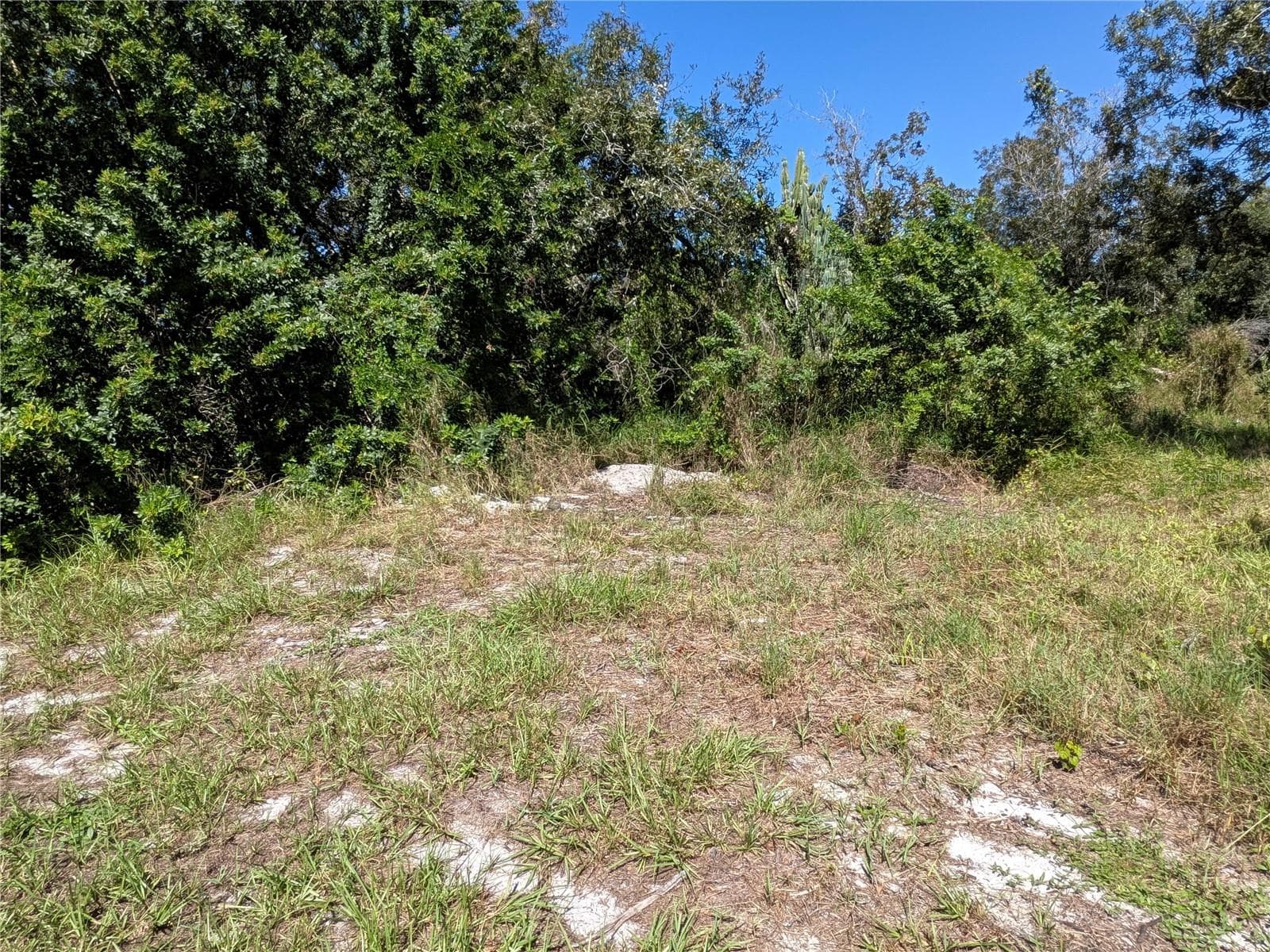 Land at LEMON RD NW, LAKE PLACID, photo 4 of 4