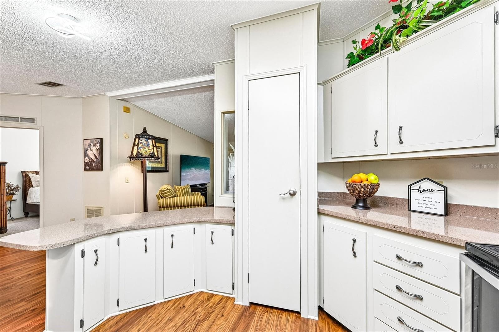 Pantry Closet and Breakfast Counter - 8510 COUNTESS AVENUE CIR, PALMETTO
