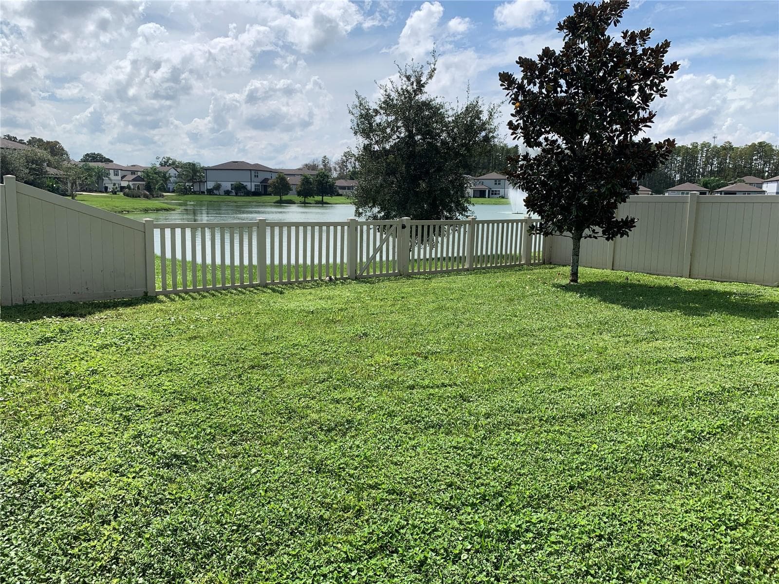 Backyard - 20651 MONZA LOOP, LAND O LAKES