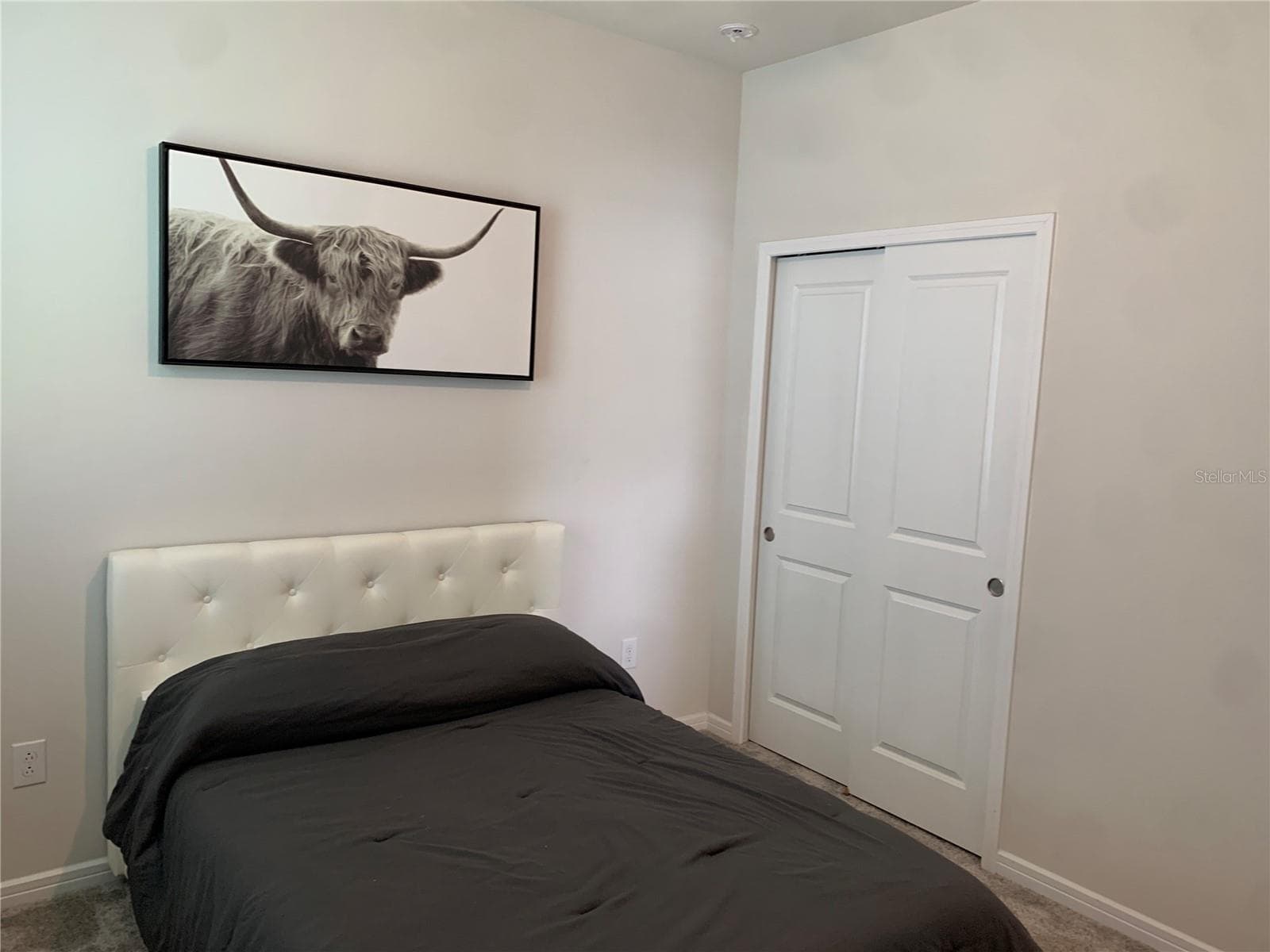 Bedroom 2 - 20651 MONZA LOOP, LAND O LAKES
