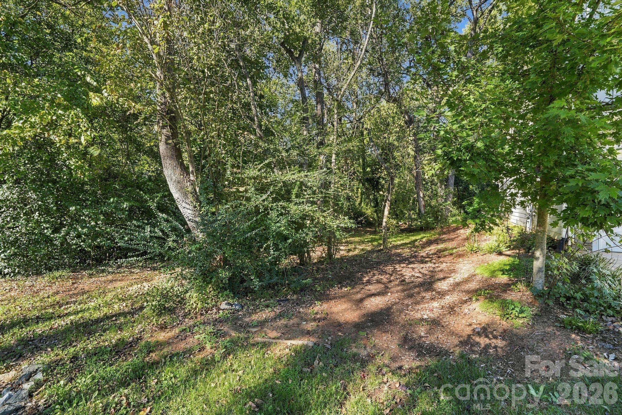 Wooded border offers a buffer from neighboring property - 4715 Crestmont Drive, Charlotte