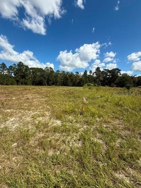 Land at xxx SW 59TH CT, OCALA, photo 8 of 8