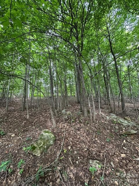 Acreage at 0 Threadway Ridge Drive, Moravian Falls, photo 3 of 10