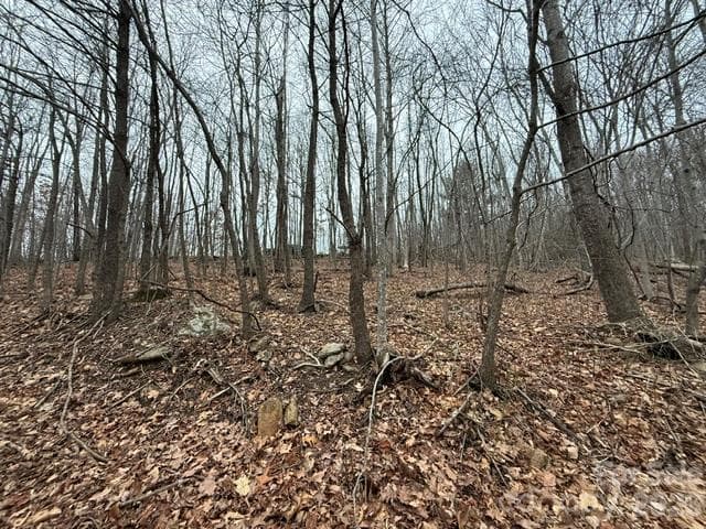 Acreage at 0 Threadway Ridge Drive, Moravian Falls, photo 4 of 10