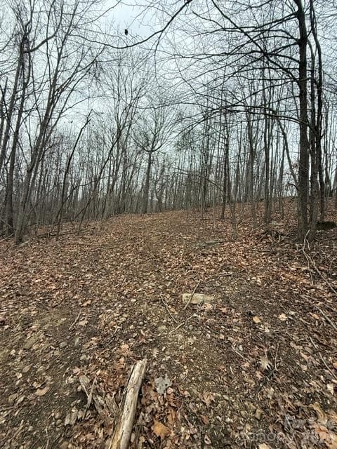 Acreage at 0 Threadway Ridge Drive, Moravian Falls, photo 5 of 10