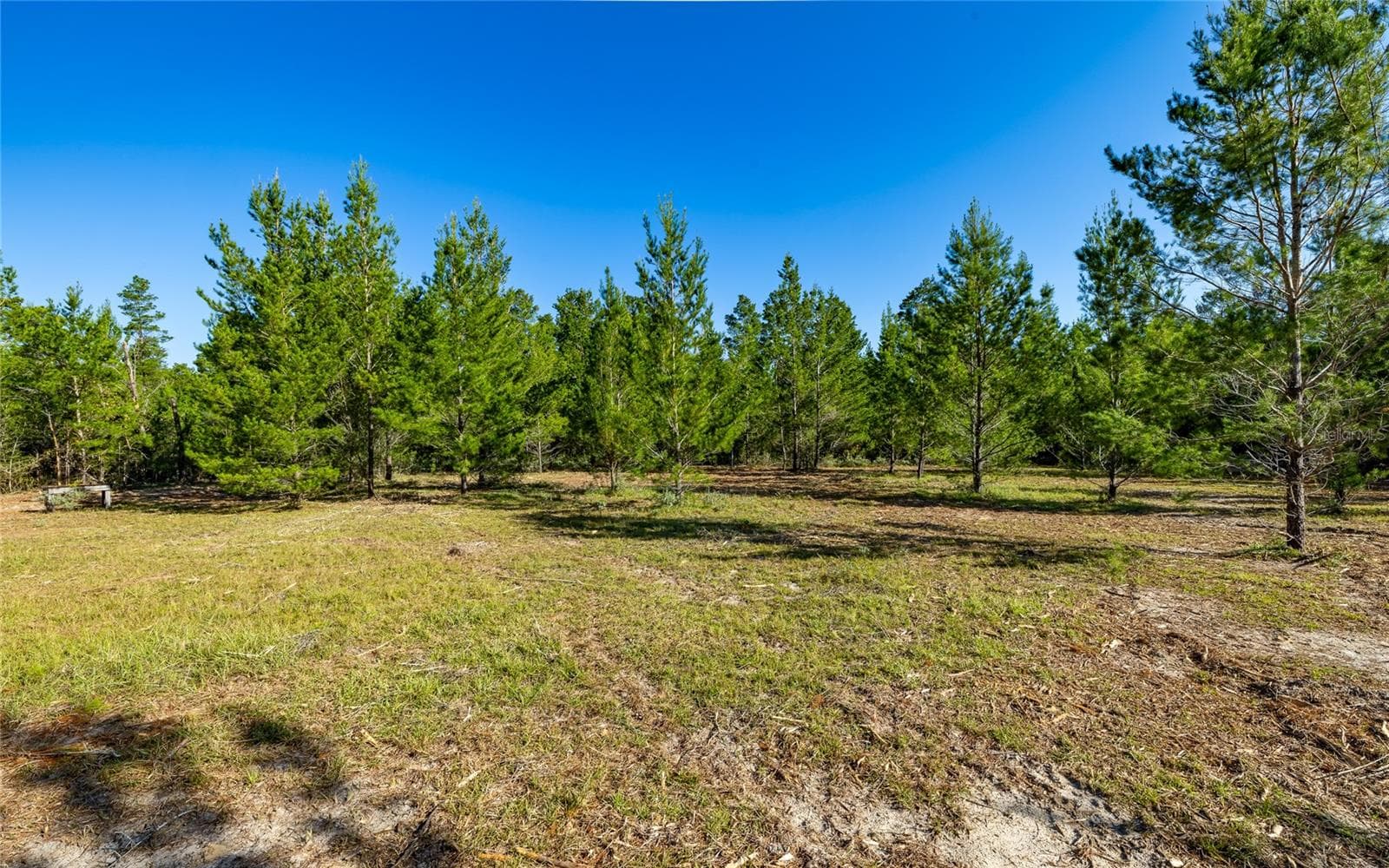 16308 SINGER RD