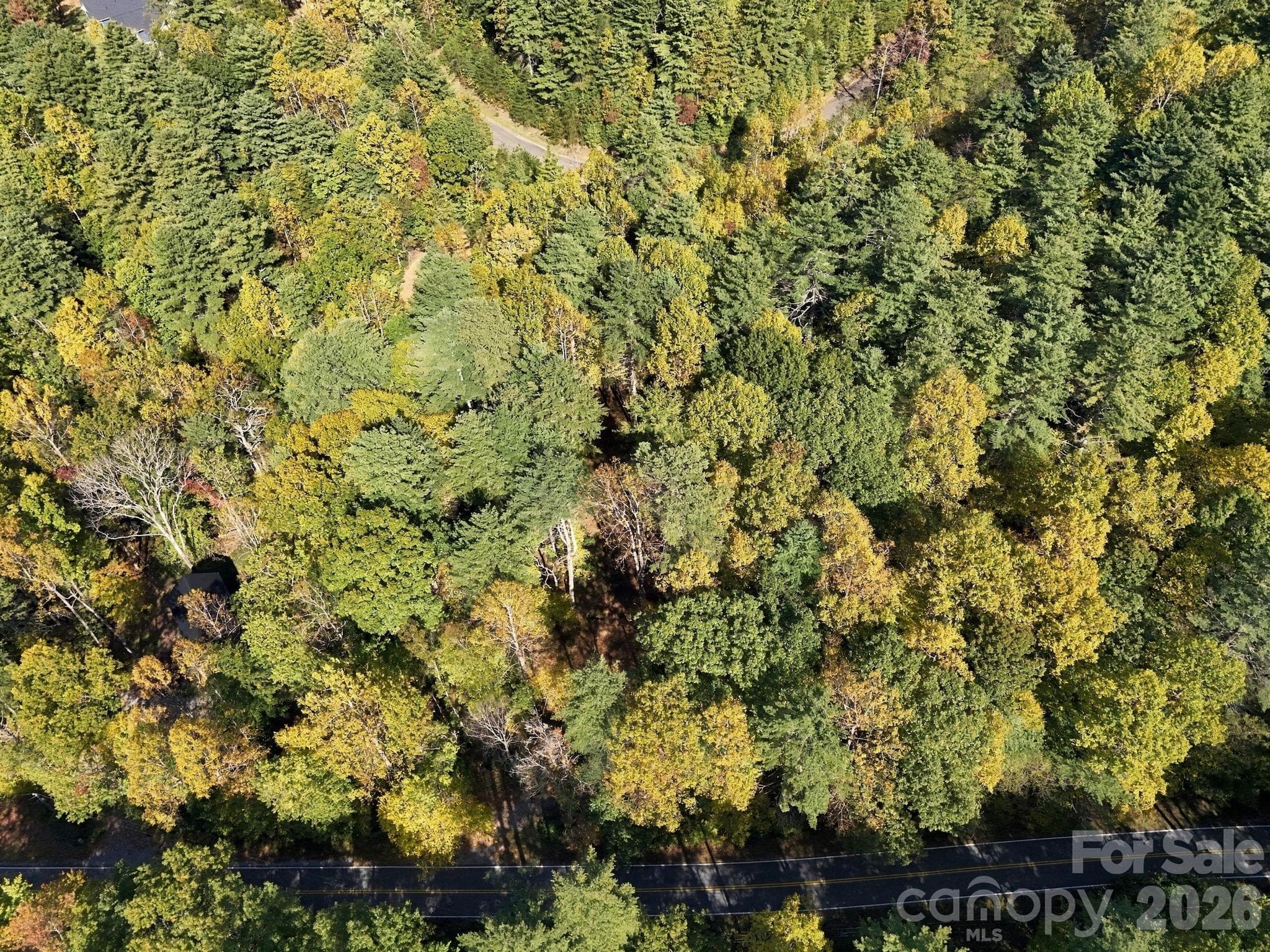 Single Family Residence at 2230 Evans Road, Hendersonville, photo 6 of 16