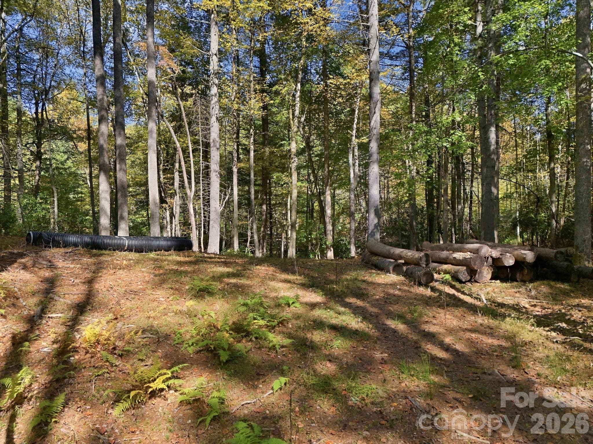 Single Family Residence at 2230 Evans Road, Hendersonville, photo 11 of 16