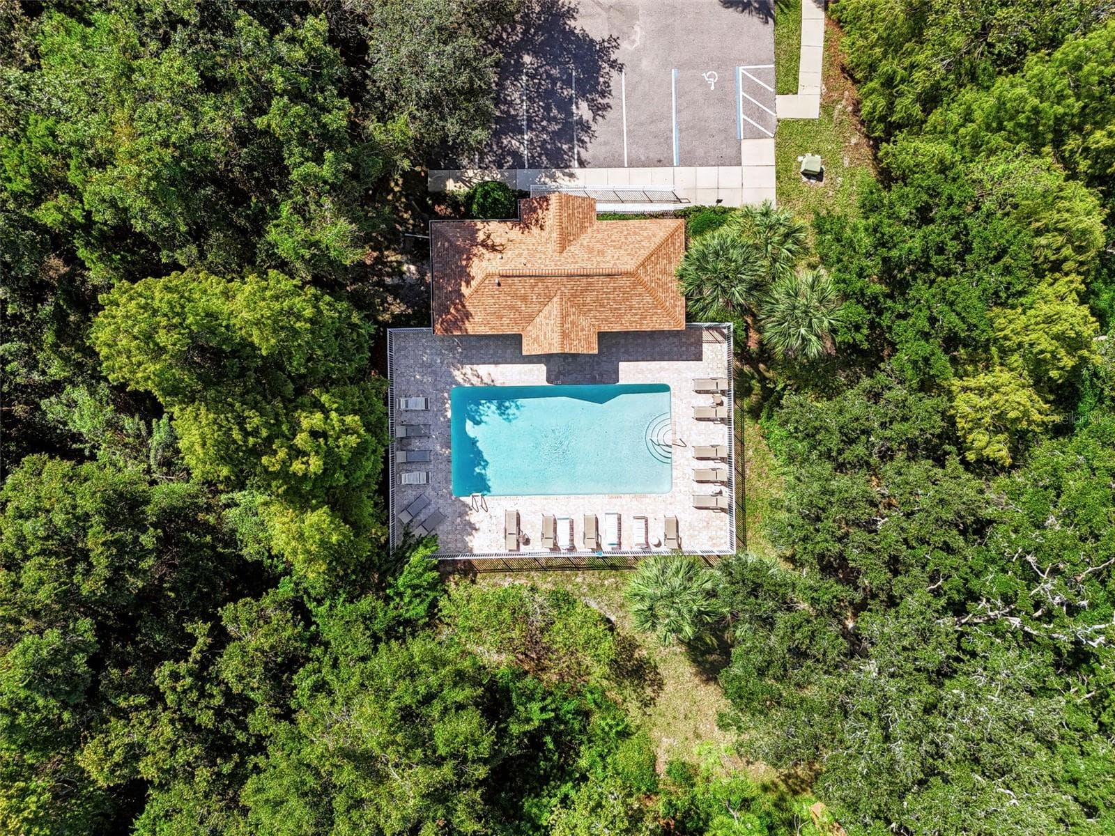Townhouse at 666 SPRING LAKE CIR, TARPON SPRINGS, photo 44 of 51