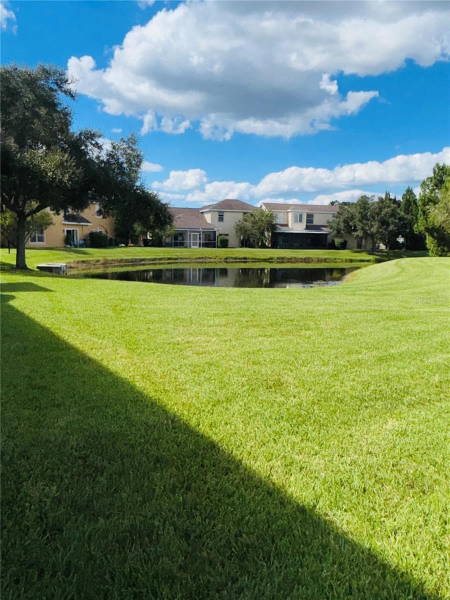 Backyard - 20304 OAK KEY CT, TAMPA