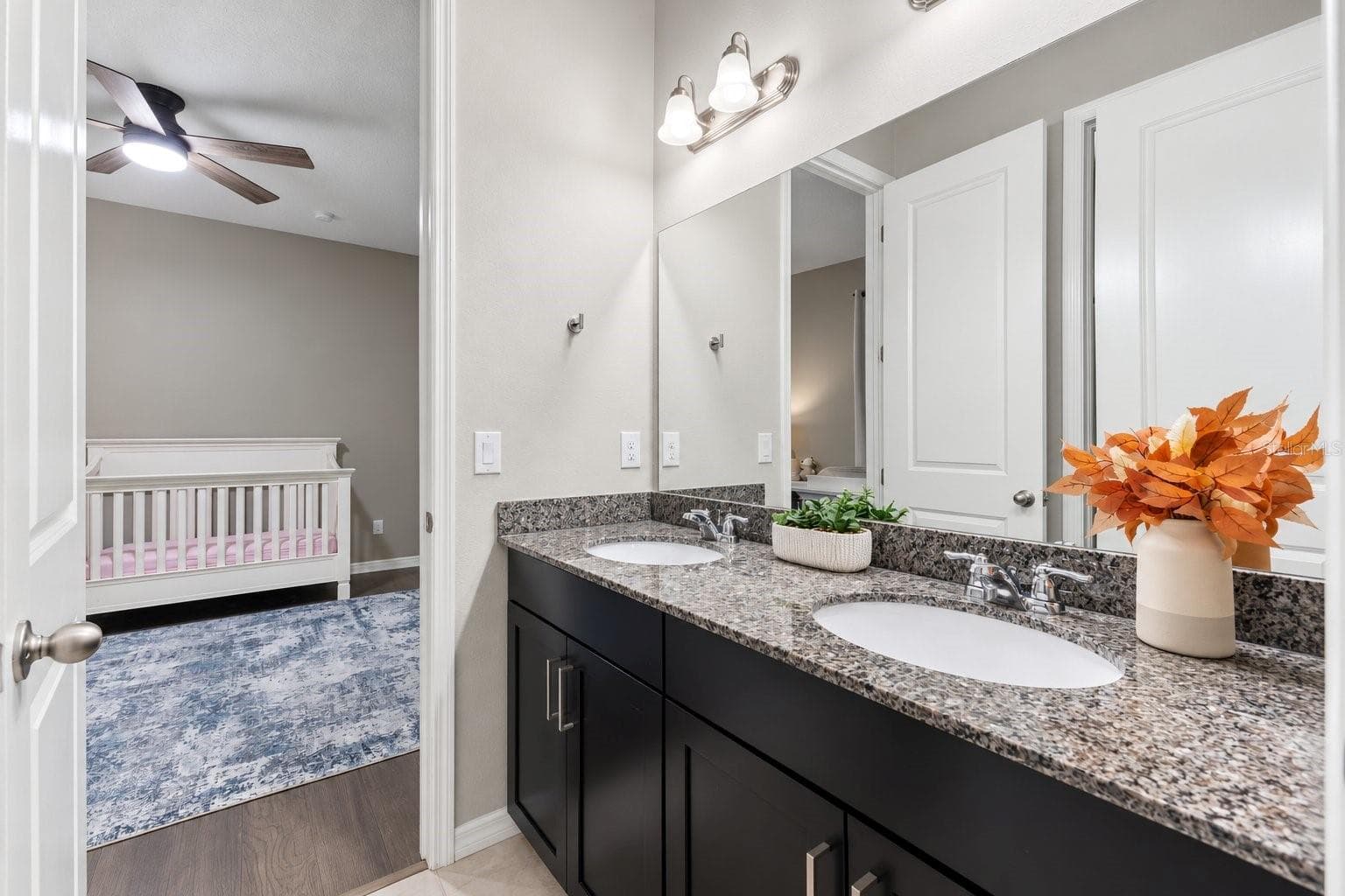 Jack and Jill Bathroom - 18922 ROSEATE DR, LUTZ