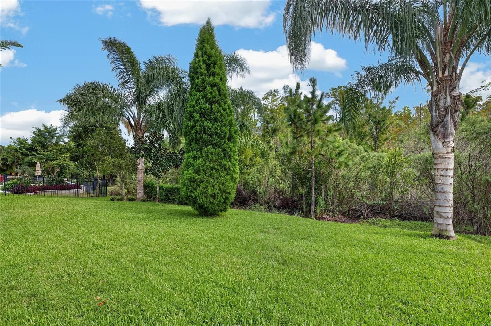 Single Family Residence at 16726 COURTYARD LOOP, LAND O LAKES, photo 92 of 97