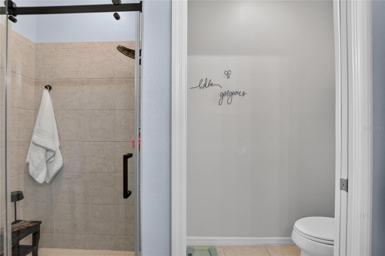 Townhouse at 5604 BALCONY BRIDGE PL, LITHIA, photo 15 of 27