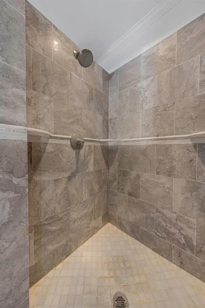 Master Bathroom - Shower - 1926 BRAE MOOR DR, DUNEDIN