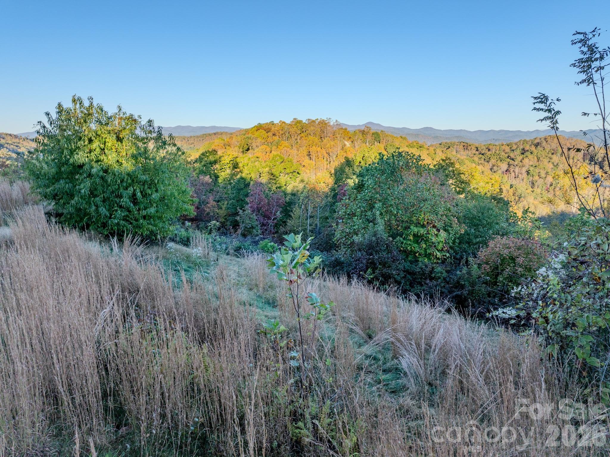Lot at 00 Skydance Trail, Hendersonville, photo 12 of 23
