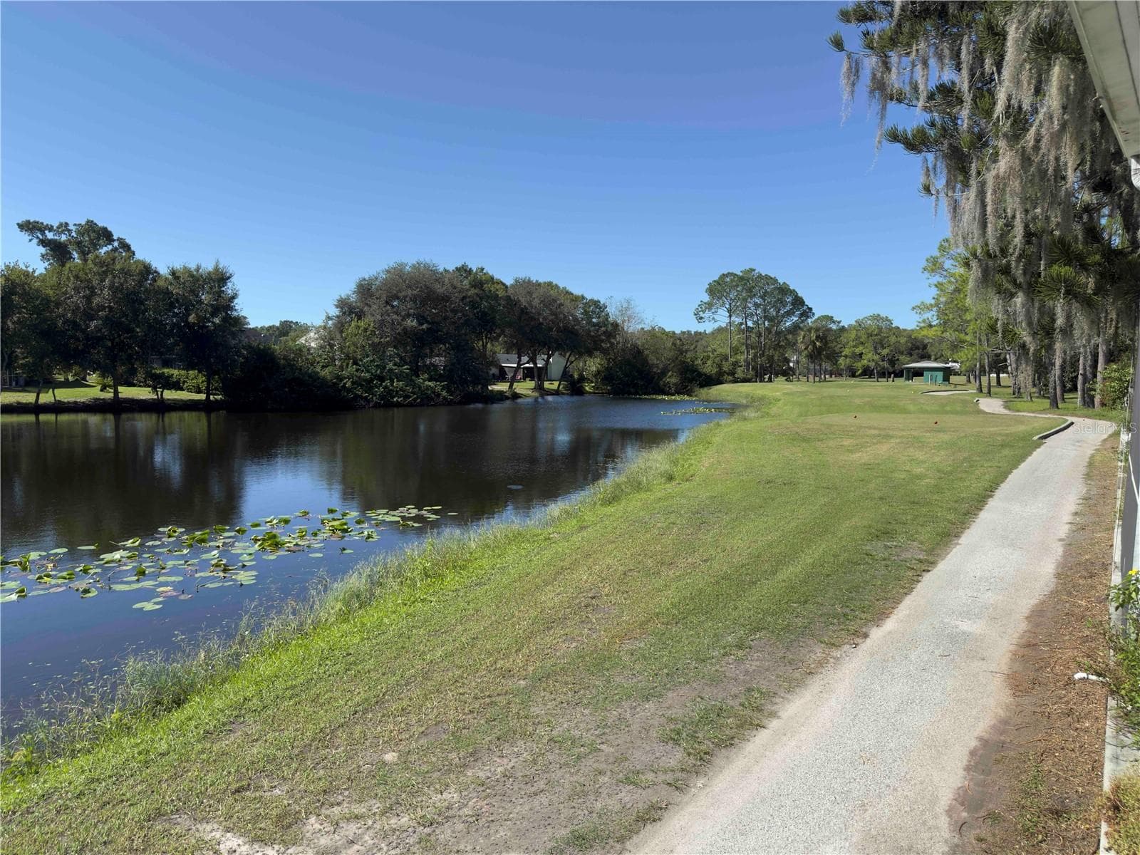 Townhouse at 5143 NORTHDALE BLVD, TAMPA, photo 13 of 17