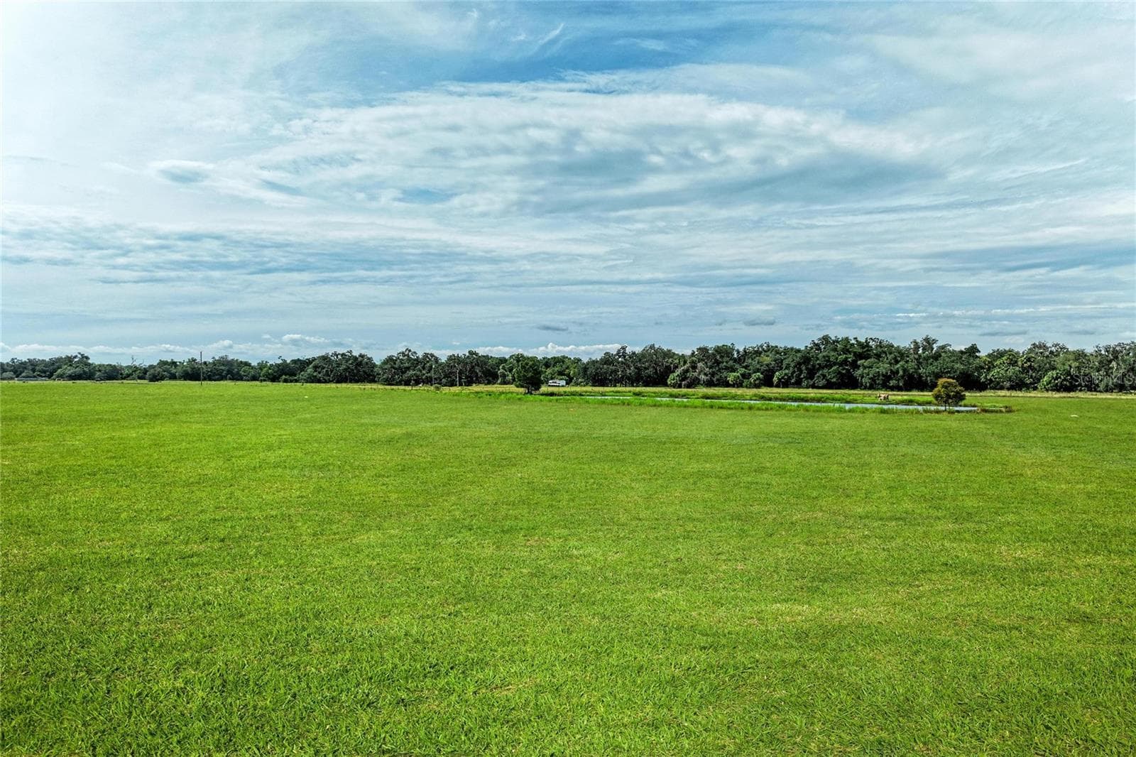 Land at COKER GULLY RD, MYAKKA CITY, photo 4 of 58
