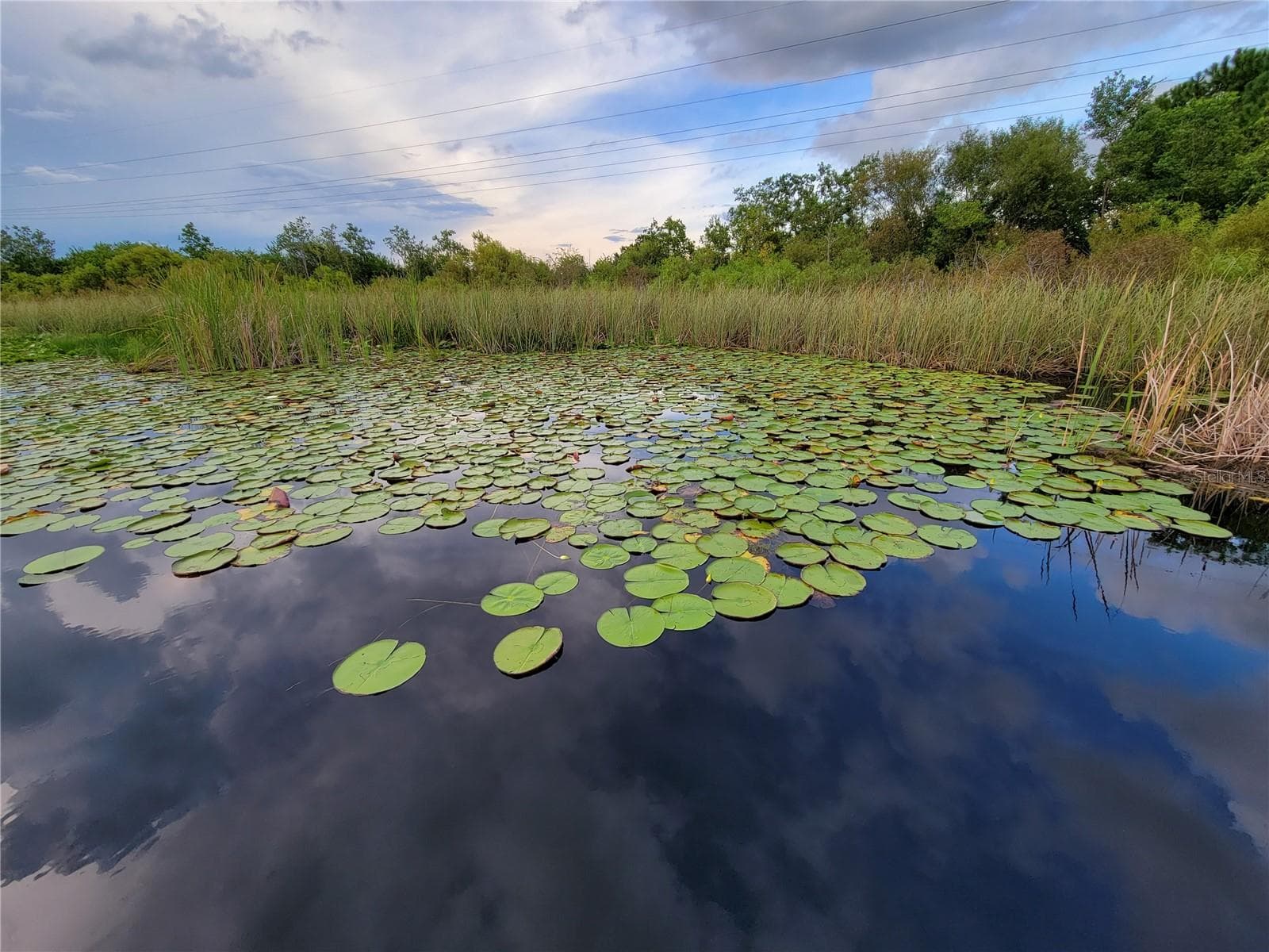 Lake Hancock - 5522 NEW INDEPENDENCE PKWY, WINTER GARDEN