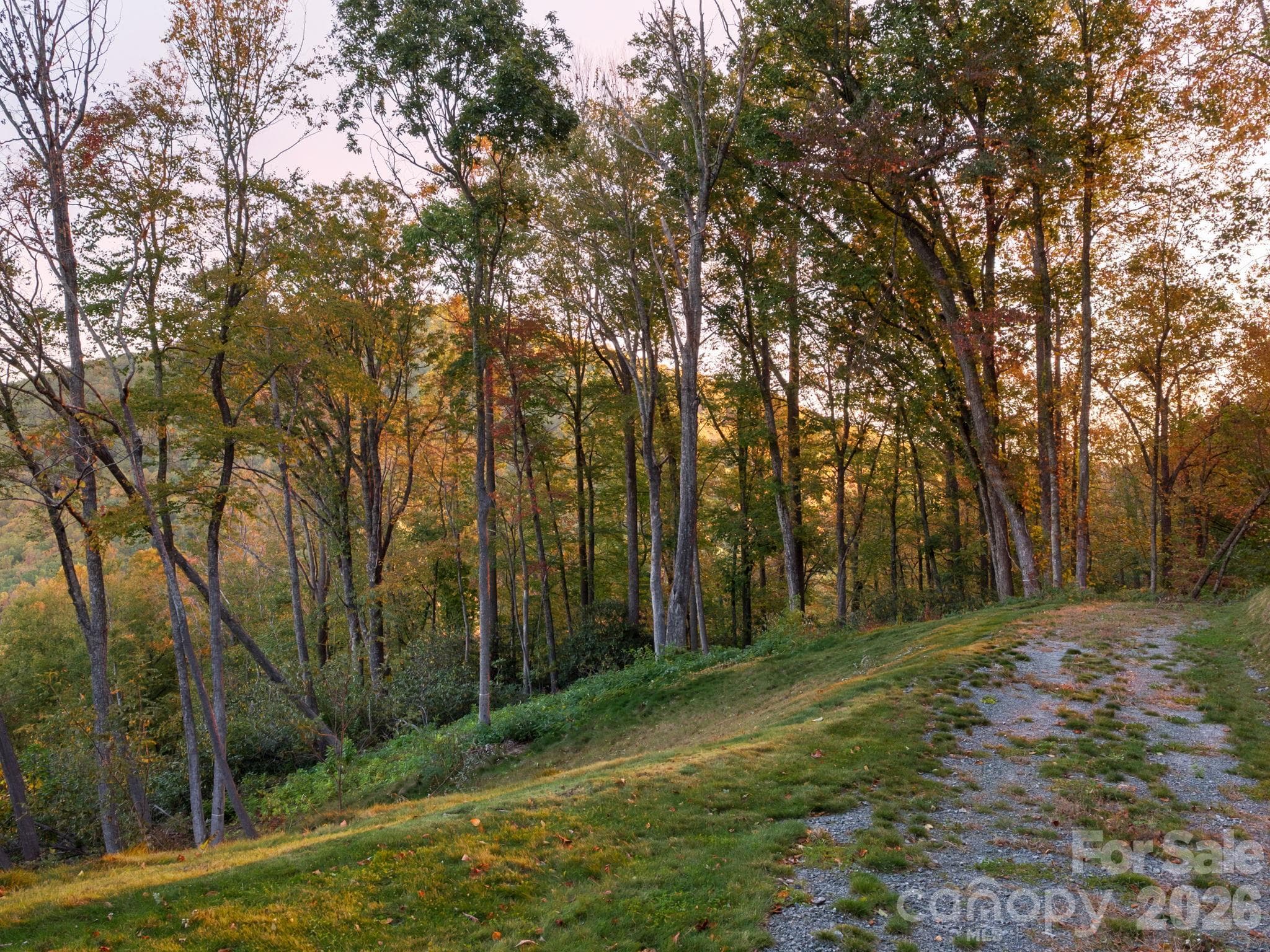 Lot at 202 Hemlock Grove Trail, Hendersonville, photo 6 of 21